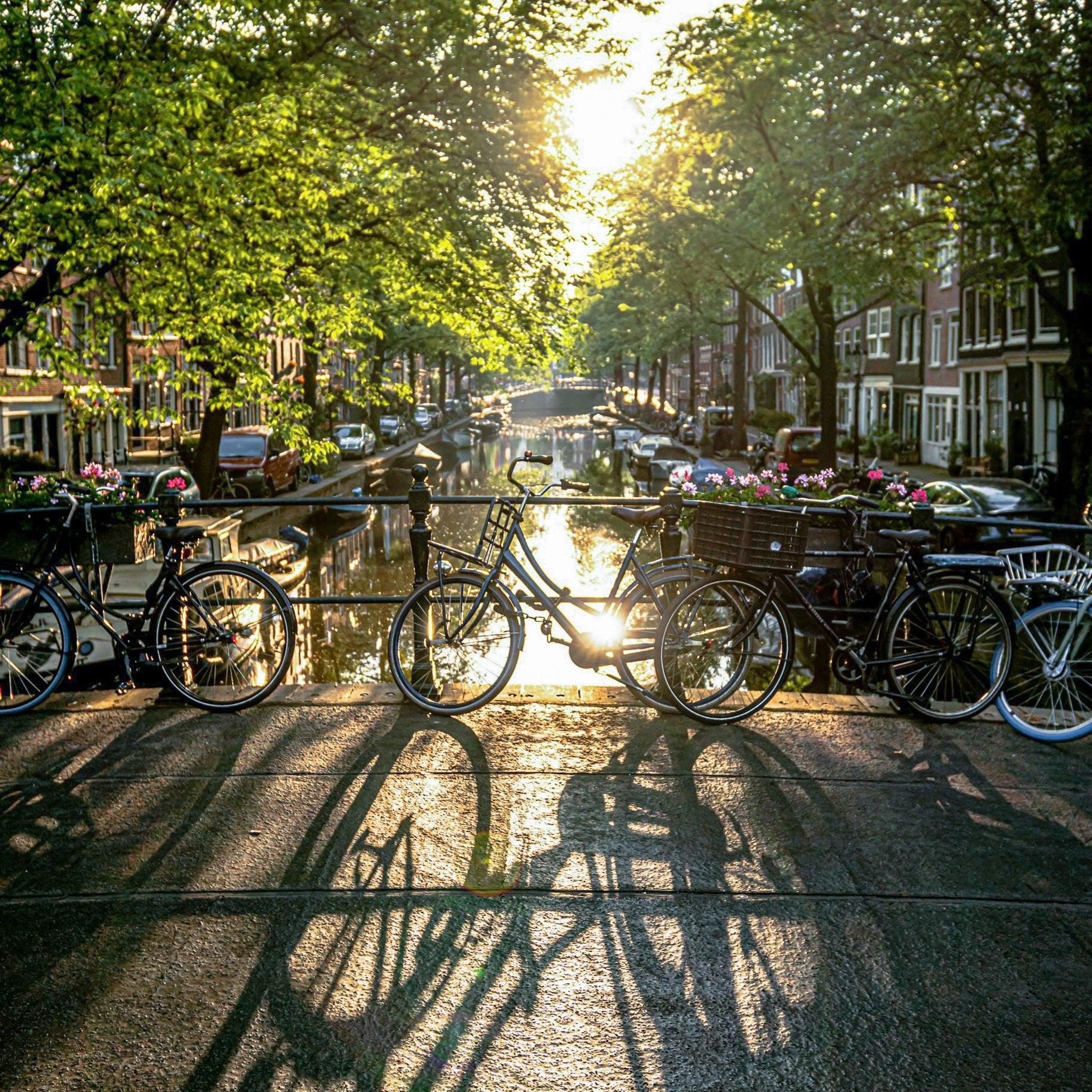 fietsen-aan-de-gracht - Delft Denim